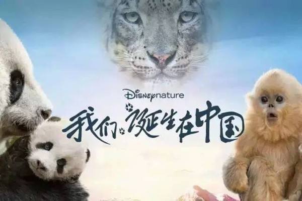 我们诞生在中国-大型动物纪录片