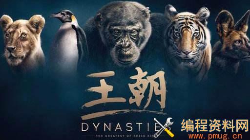 王朝-腾讯和英国BBC联合打造的史诗级纪录片 王朝-腾讯和英国BBC联合打造的史诗级纪录片